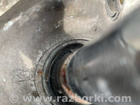 ФОТО Цапфа для Nissan Altima L32 Київ