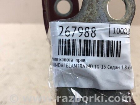 ФОТО Петля капоту для Hyundai Elantra V MD (10-16) Київ