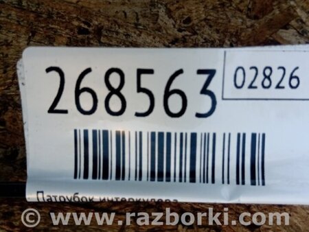 ФОТО Патрубок інтеркулера для KIA Optima 3 TF (10-15) Київ