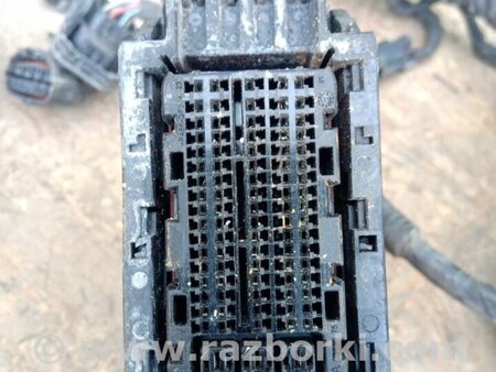 ФОТО Проводка підкапотна для KIA Optima 3 TF (10-15) Київ