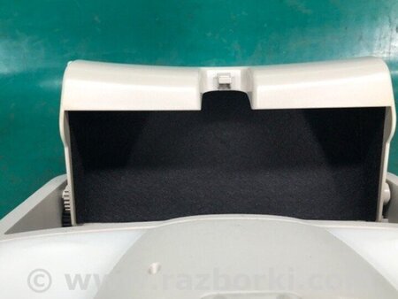 ФОТО плафон салону для Nissan LEAF (10-17) Київ