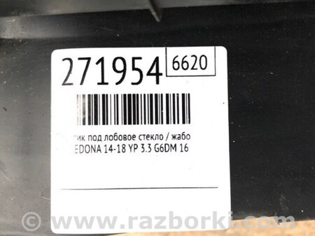 ФОТО Пластик під лобове скло / Жабо для KIA Sedona (14-18) Київ