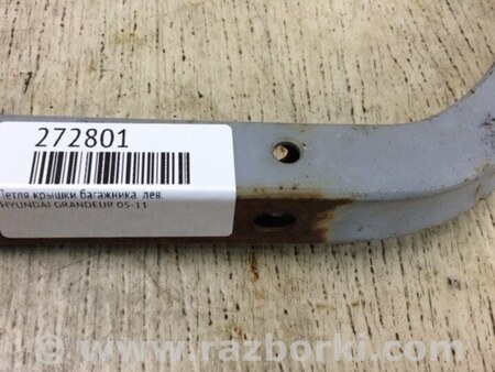 ФОТО Петля кришки багажника для Hyundai Grandeur IV TG (05-11) Київ