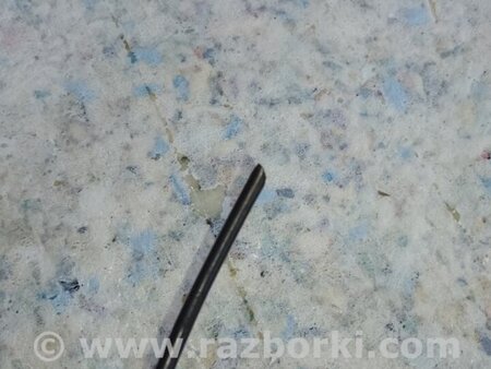 ФОТО Датчик ABS для Subaru Tribeca рестайл (08-14) Київ