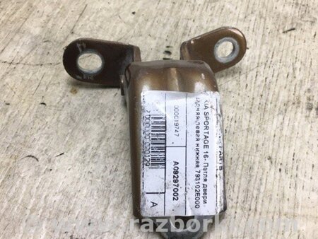 ФОТО Петля двері нижня для KIA Sportage QL (15-21) Київ