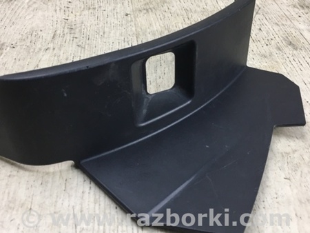 ФОТО Заглушка кузова для Lexus RX350/450 (2015-) Київ