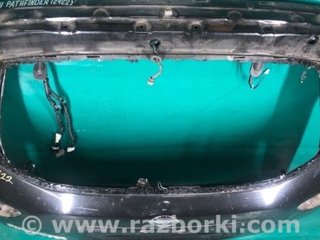 ФОТО Кришка багажника для Nissan Pathfinder R52 (12-21) Київ