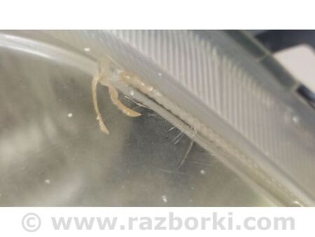 ФОТО Фара для Mitsubishi Lancer Київ