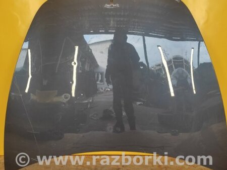 ФОТО Капот для Tesla Model 3 Київ