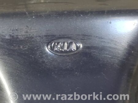 ФОТО Капот для KIA Niro 1 DE (16-22) Київ