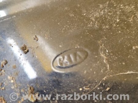 ФОТО Крило переднє для KIA Niro 1 DE (16-22) Київ