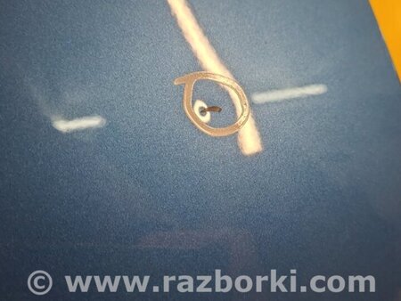 ФОТО Двері для Nissan LEAF (2018-) Київ