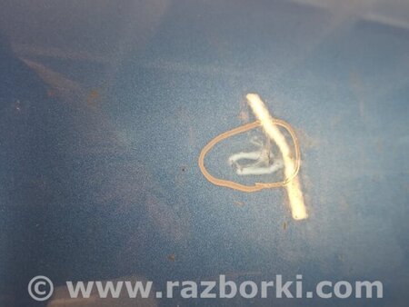 ФОТО Двері для Nissan LEAF (2018-) Київ