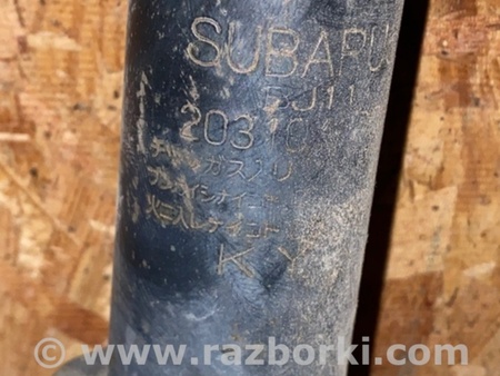 ФОТО Амортизатор для Subaru Tribeca B9 (05-08) Київ