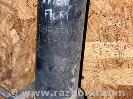 ФОТО Амортизатор для Subaru Tribeca B9 (05-08) Київ