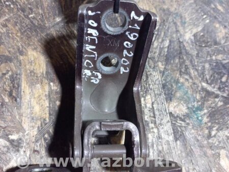 ФОТО Петля двері нижня для KIA Sorento 2 XM (09-14) Київ