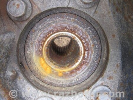 ФОТО Цапфа для Subaru Outback IV BM/BR (09-14) Київ