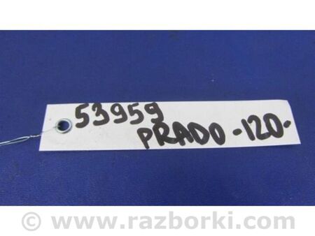 ФОТО Пластик під лобове скло / Жабо для Toyota Land Cruiser Prado J120 (02-09) Київ