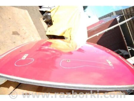 ФОТО Дах для Nissan LEAF (10-17) Київ