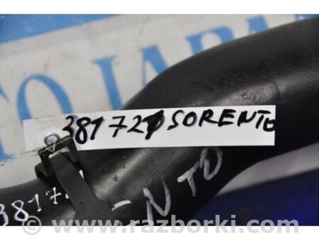 ФОТО Патрубок інтеркулера для KIA Sorento 1 BL (02-09) Київ