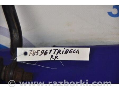 ФОТО Стабілізатор задній для Subaru Tribeca B9 (05-08) Київ
