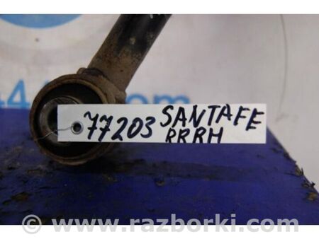 ФОТО Важіль задньої підвіски нижній поперечний для Hyundai Santa Fe II CM (06-12) Київ