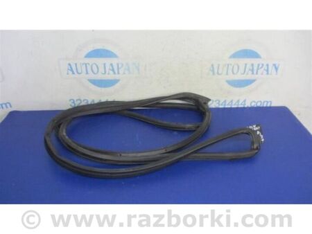 ФОТО Ущільнювач дверей для Acura RDX TB3, TB4 (12-15) Київ