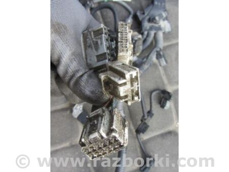 ФОТО Проводка підкапотна для Toyota Camry 70 XV70 (17-23) Київ
