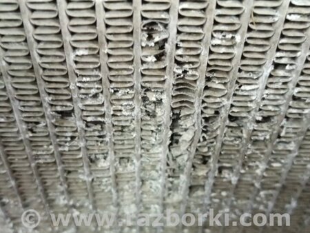 ФОТО Радіатор основний для Toyota Avalon XX30 (12.2004-10.2012) Київ