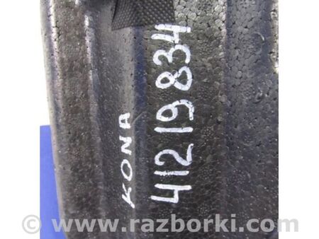 ФОТО Скринька інструментальна для Hyundai Kona I OS (17-23) Київ