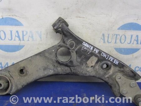 ФОТО Важіль передньої підвіски нижній для Hyundai Santa Fe IV TM (18-23) Київ