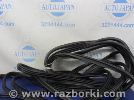ФОТО Ущільнювач дверей для Hyundai Santa Fe IV TM (18-23) Київ