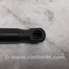 ФОТО Амортизатор капоту для Infiniti FX/QX70 S51 (08-17) Київ
