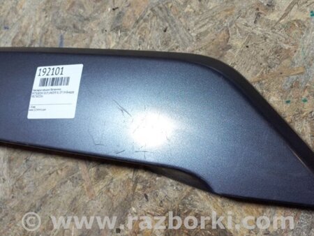 ФОТО Панель підсвічування номера для Mitsubishi Outlander XL CW (05-12) Київ