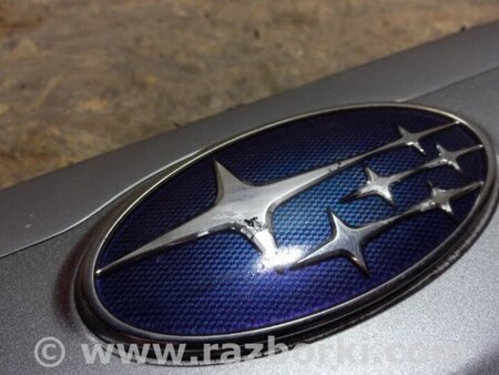 ФОТО Панель підсвічування номера для Subaru Forester SG S11 (02-08) Київ