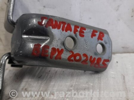 ФОТО Петля двері верхня для Hyundai Santa Fe IV TM (18-23) Київ