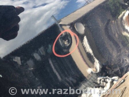 ФОТО Чверть кузова задня для Jeep Renegade (BU) (2014-) Київ