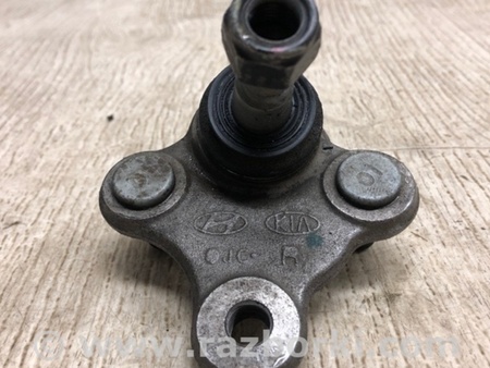 ФОТО Кульова опора для Hyundai Elantra VI AD (15-20) Київ