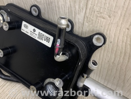 ФОТО Теплообмінник АКПП для KIA Sorento 3 UM (14-20) Київ