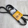 ремінь генератора Infiniti M25/M37/M56/Q70/M35H