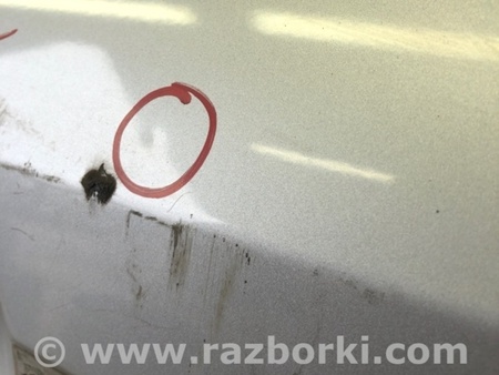 ФОТО Двері для Hyundai Tucson I JM (04-10) Київ