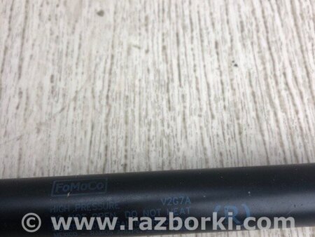 ФОТО Амортизатор кришки багажника для Ford Flex (06.2008-12.2019) Київ