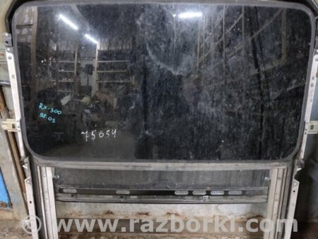 ФОТО Люк для Lexus RX300 (98-03) Київ