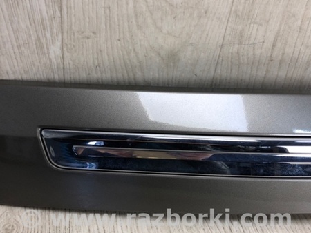 ФОТО Панель підсвічування номера для Ford Edge 1 U387 (01.2006-04.2015) Київ