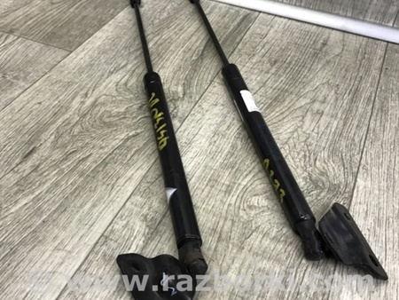 ФОТО Амортизатор кришки багажника для Dodge Journey (2011-2020) Київ