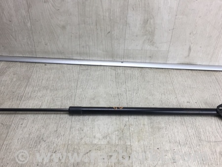 ФОТО Амортизатор кришки багажника для Ford Escape 3 (01.2012-12.2018) Київ