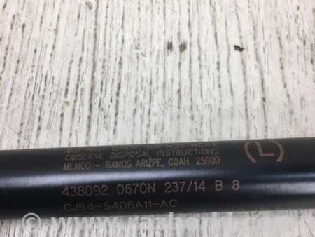 ФОТО Амортизатор кришки багажника для Ford Escape 3 (01.2012-12.2018) Київ