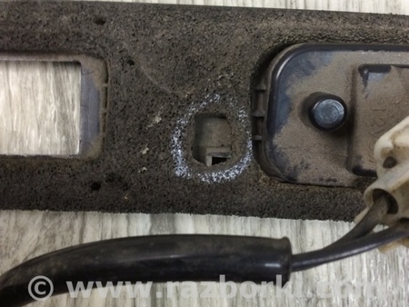 ФОТО Панель підсвічування номера для Subaru Tribeca B9 (05-08) Київ