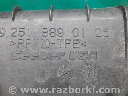 ФОТО Пильовик крила для Mercedes-Benz R-CLASS W251 (05-13) Київ