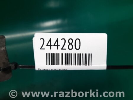 ФОТО Решітка радіатора для Nissan Altima L31 Київ